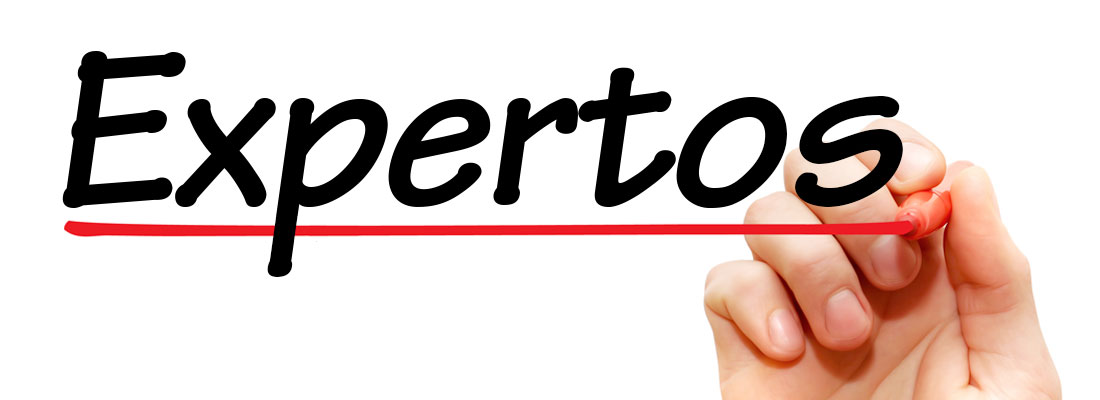 expertos
